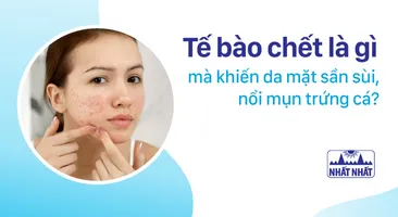 Tế bào chết là gì mà khiến da mặt sần sùi, nổi mụn trứng cá?