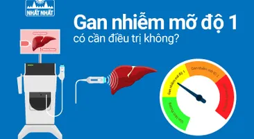Gan nhiễm mỡ độ 1 có cần điều trị không?