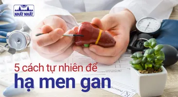 Học ngay cách hạ men gan để không sợ hãi vì men gan cao