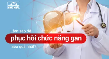 Làm sao để phục hồi chức năng gan hiệu quả?