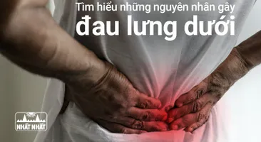 Tìm hiểu những nguyên nhân gây đau lưng dưới
