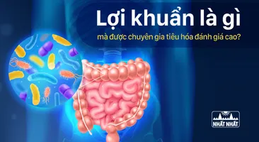 Lợi khuẩn là gì mà được chuyên gia tiêu hóa đánh giá cao?