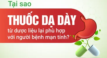 Tại sao thuốc dạ dày từ dược liệu lại phù hợp với người bệnh mạn tính?