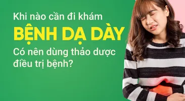 Khi nào cần đi khám bệnh dạ dày? Có nên dùng thảo dược điều trị bệnh?