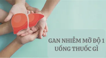 Gan nhiễm mỡ độ 1 là gì? Uống thuốc gì để điều trị?