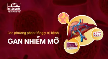 Các phương pháp Đông y trị bệnh gan nhiễm mỡ hiệu quả