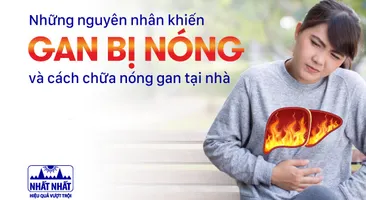 Những nguyên nhân khiến gan bị nóng và cách chữa nóng gan tại nhà