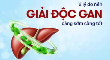 Giải đáp: 6 lý do nên giải độc gan càng sớm càng tốt