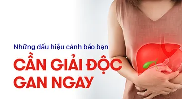 Những dấu hiệu cảnh báo bạn cần giải độc gan ngay