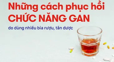 Những cách phục hồi chức năng gan do dùng nhiều bia rượu, tân dược
