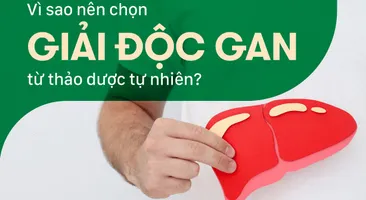 Vì sao nên chọn giải độc gan từ thảo dược tự nhiên?