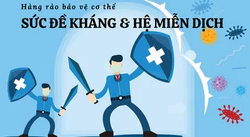 Cách tăng sức đề kháng và hệ miễn dịch: Hàng rào bảo vệ cơ thể