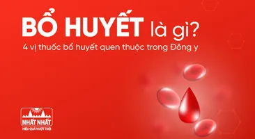 Bổ huyết là gì? 4 vị thuốc bổ huyết quen thuộc trong Đông y