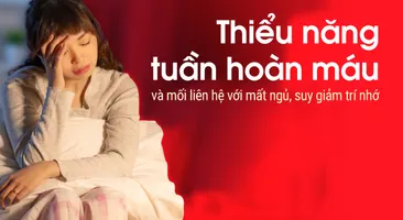 Thiểu năng tuần hoàn máu và mối liên hệ với mất ngủ, suy giảm trí nhớ