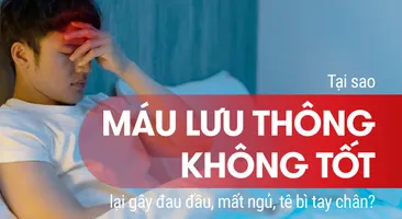 Tại sao máu lưu thông không tốt gây đau đầu mất ngủ tê bì tay chân