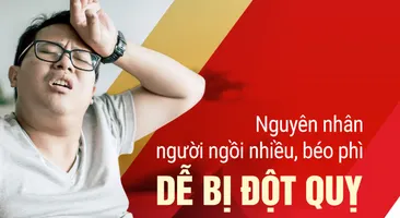 Nguyên nhân người ngồi nhiều, béo phì dễ bị đột quỵ