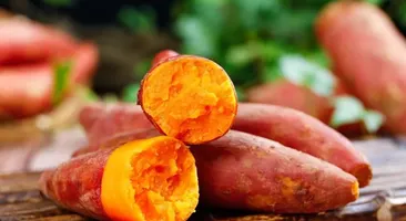 [GIẢI ĐÁP] Người bị đau dạ dày ăn khoai lang được không?