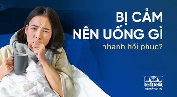 Giải đáp: Bị cảm nên uống gì nhanh hồi phục?