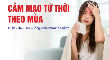 Cảm mạo tứ thời theo mùa Xuân – Hạ – Thu – Đông khác nhau thế nào?
