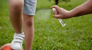 Hướng dẫn cách làm xịt muỗi thảo dược cho trẻ em 