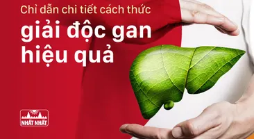 Chỉ dẫn chi tiết cách thức giải độc gan hiệu quả