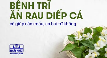 Bệnh trĩ ăn rau diếp cá có giúp cầm máu, co búi trĩ không?