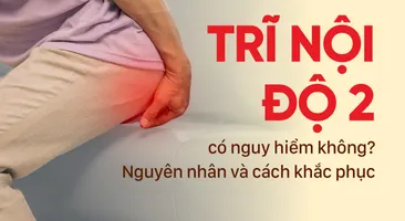 Trĩ nội độ 2 có nguy hiểm không? Nguyên nhân và cách khắc phục