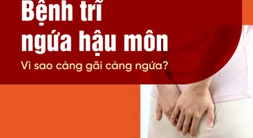Bệnh trĩ ngứa hậu môn: Vì sao càng gãi càng ngứa?