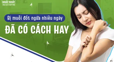 Bị muỗi đốt ngứa nhiều ngày: Đã có cách hay!