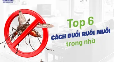 Top 6 cách đuổi ruồi muỗi trong nhà – ai cũng nên biết!