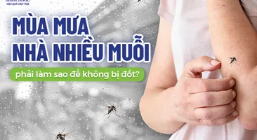 Mùa mưa nhà nhiều muỗi phải làm sao để không bị đốt?