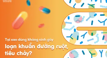 Tại sao dùng kháng sinh gây loạn khuẩn đường ruột, tiêu chảy?