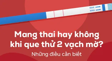 Mang thai hay không khi que thử 2 vạch mờ? Những điều cần biết