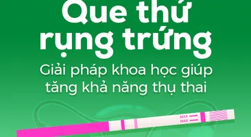 Que thử rụng trứng – Giải pháp khoa học giúp tăng khả năng thụ thai