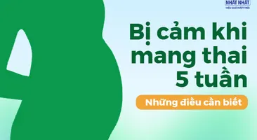 Bị cảm khi mang thai 5 tuần: Những điều cần biết