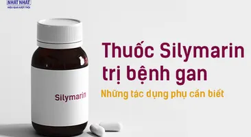 Thuốc Silymarin trị bệnh gan: Những tác dụng phụ cần biết