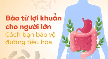 Bào tử lợi khuẩn cho người lớn: Cách bạn bảo vệ đường tiêu hóa