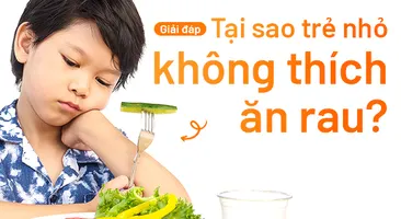 Giải đáp: Tại sao trẻ nhỏ không thích ăn rau?
