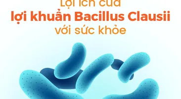 Lợi ích của lợi khuẩn Bacillus Clausii với sức khỏe