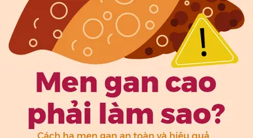 Men gan cao phải làm sao? Cách hạ men gan an toàn và hiệu quả