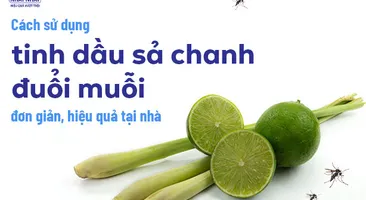 Cách sử dụng tinh dầu sả chanh đuổi muỗi đơn giản, hiệu quả tại nhà