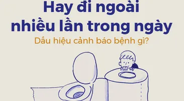 Hay đi ngoài nhiều lần trong ngày: Dấu hiệu cảnh báo bệnh gì?