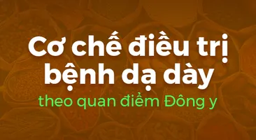 Cơ chế điều trị bệnh dạ dày theo quan điểm Đông y