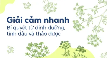 Giải cảm nhanh: Bí quyết từ dinh dưỡng, tinh dầu và thảo dược