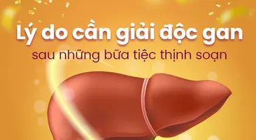 Lý do cần giải độc gan sau những bữa tiệc thịnh soạn