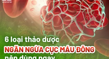 6 loại thảo dược ngăn ngừa cục máu đông nên dùng ngay