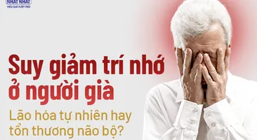 Suy giảm trí nhớ ở người già: Lão hóa tự nhiên hay tổn thương não bộ? 