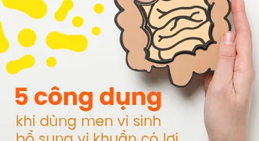 5 công dụng khi dùng men vi sinh bổ sung vi khuẩn có lợi 