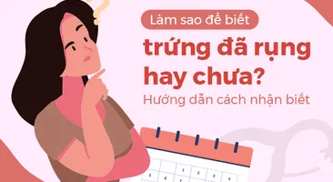 Làm sao để biết trứng đã rụng hay chưa? Hướng dẫn cách nhận biết