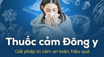Thuốc cảm Đông y: Giải pháp trị cảm an toàn, hiệu quả